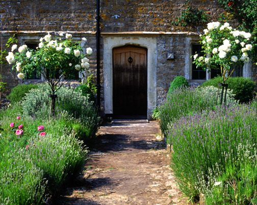 lavender cottage.jpg
