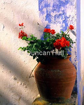 portuguese flower pot.jpg