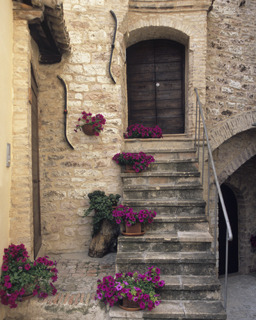tuscan stairs.jpg